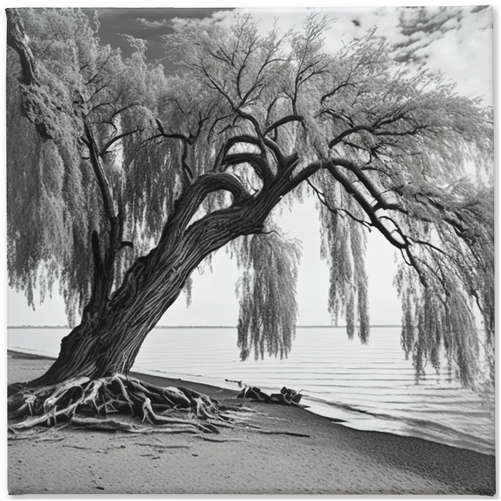 Willow tree on the beach, canvas - Whaleriderz