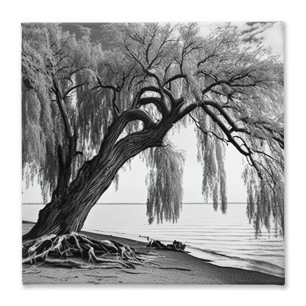 Willow tree on the beach, canvas - Whaleriderz