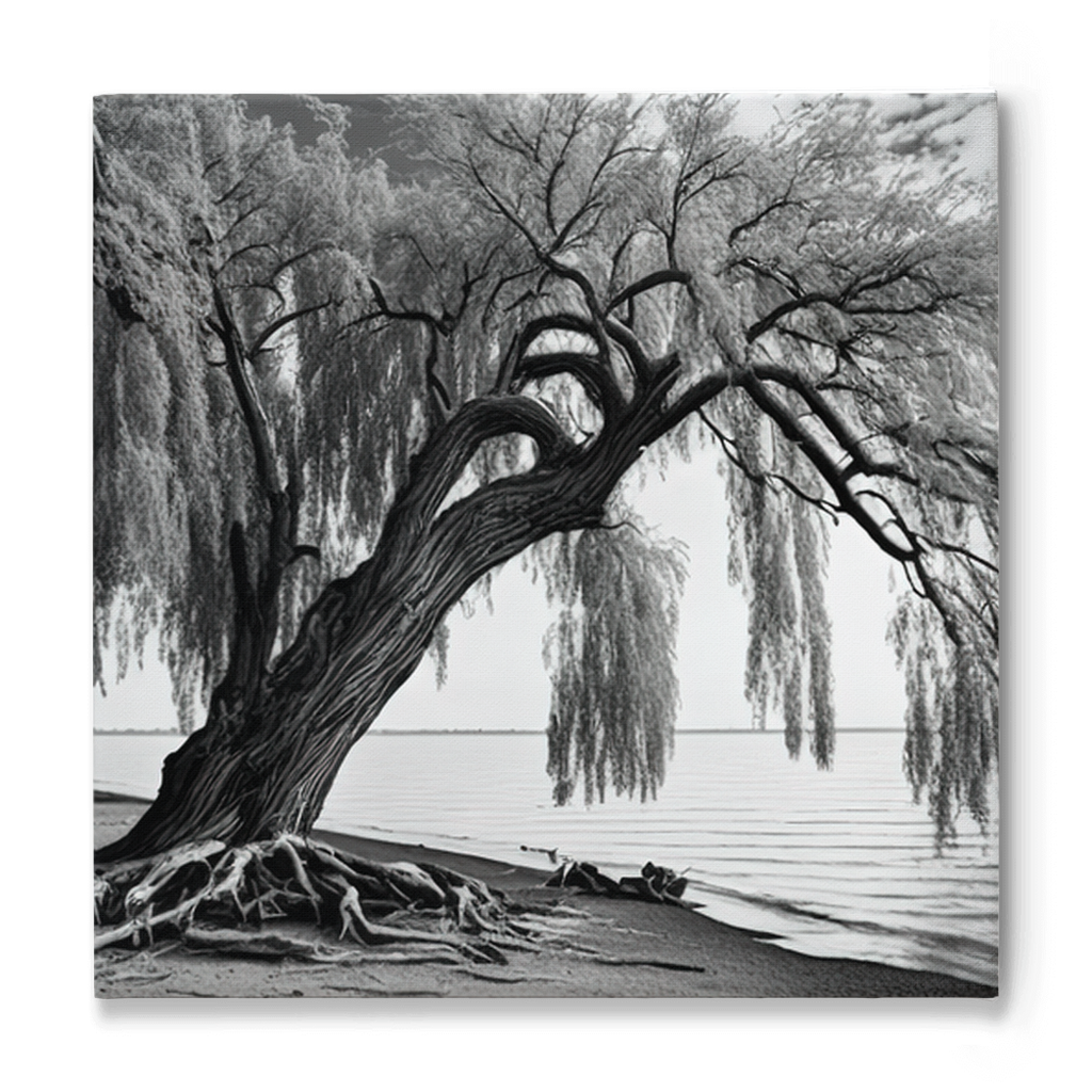 Willow tree on the beach, canvas - Whaleriderz